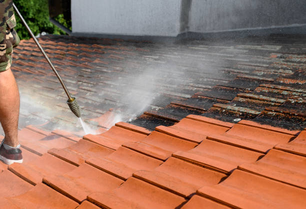 Best Pressure Washing Services for Businesses  in Lake Dalecarlia, IN