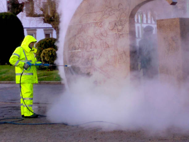 Best Exterior Home Cleaning  in Lake Dalecarlia, IN